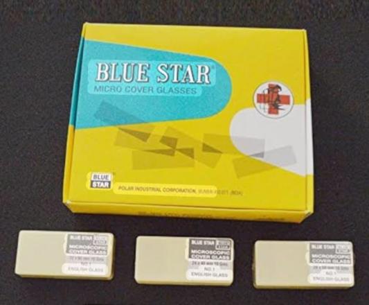 MICRO COVER SILIP COVE GLASS BLUE STAR 22*50 (PACK SIZE 20PCS)